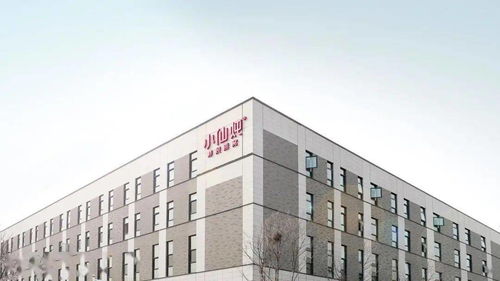 科技赋能品质，创新引领未来 小仙炖霸州工厂获评高新技术企业